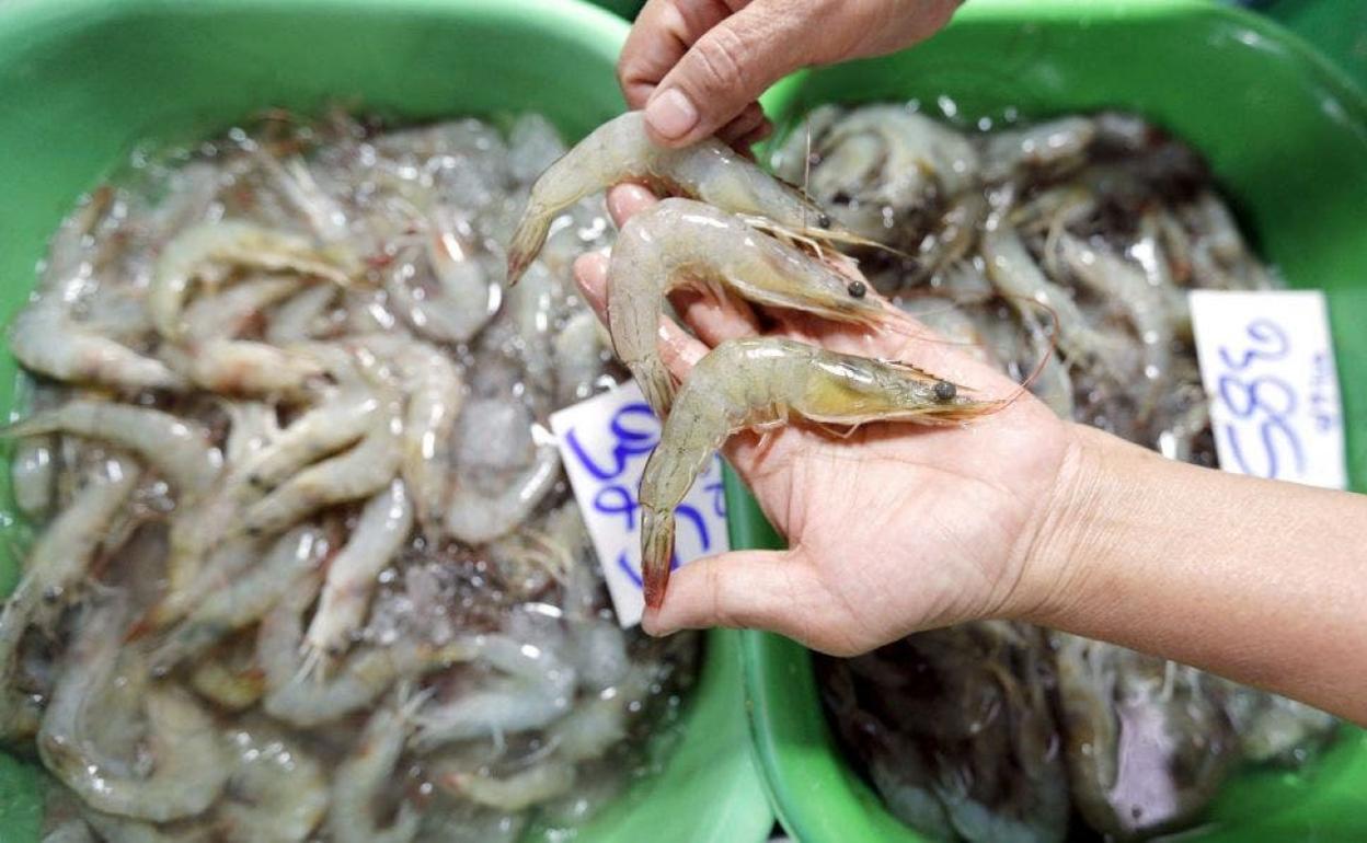 Encuentran coronavirus en paquetes de unas gambas congeladas. 