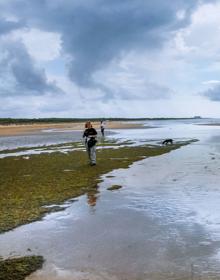 Imagen secundaria 2 - Dunas, caños y marismas en las orillas del Atlántico