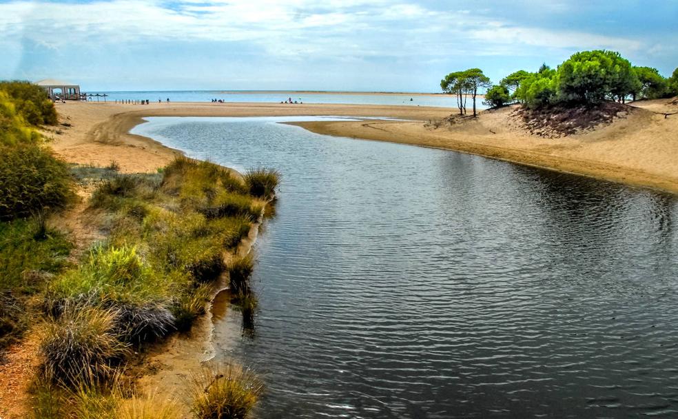 Dunas, caños y marismas en las orillas del Atlántico