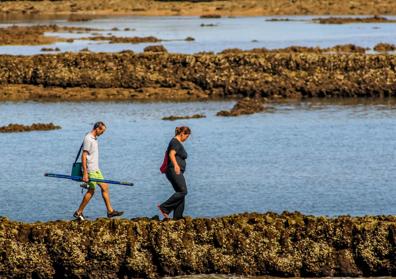 Imagen secundaria 1 - La bajamar descubre sus secretos