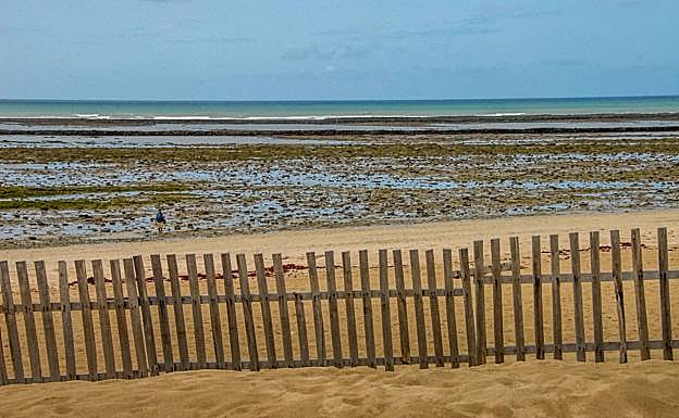 Imagen principal - La bajamar descubre sus secretos