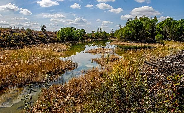 Imagen principal - Entre riberas de aguas de cobre y sangre