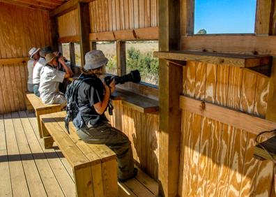 Imagen secundaria 1 - La &#039;isla de los pájaros&#039;, un oasis al borde de Málaga