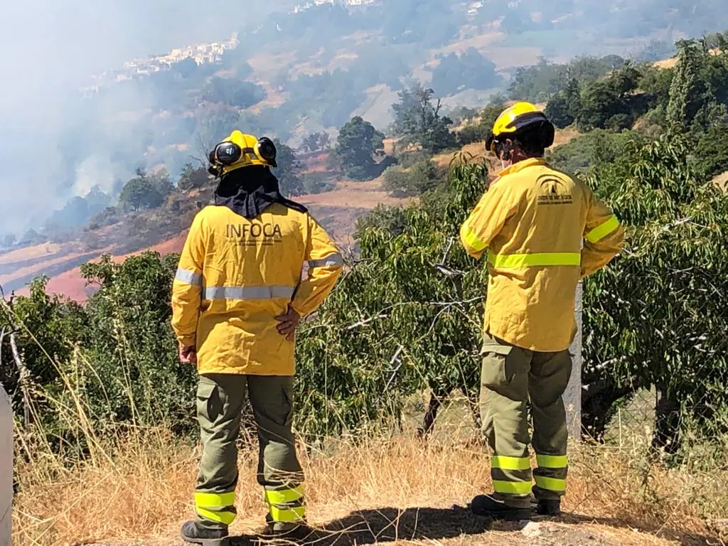 Así se está viviendo el fuego forestal en la Alpujarra