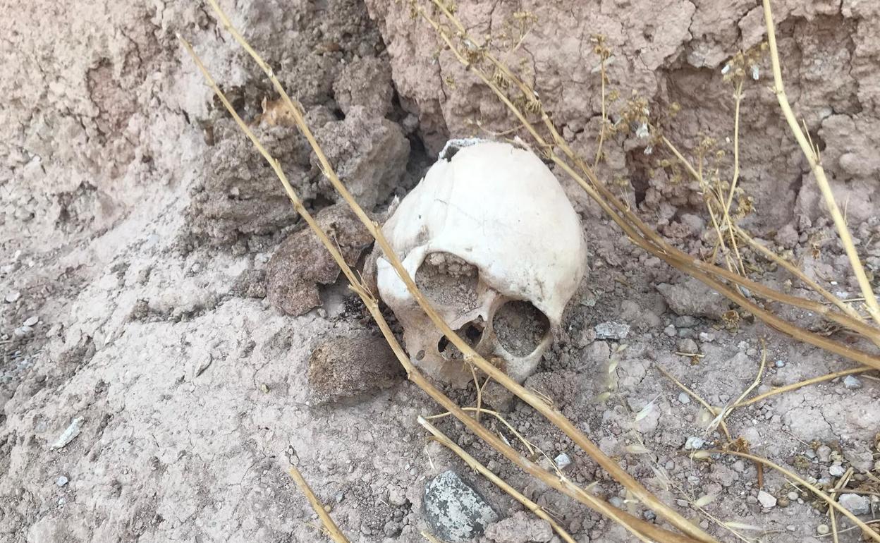 El cráneo humano hallado en Alamedilla