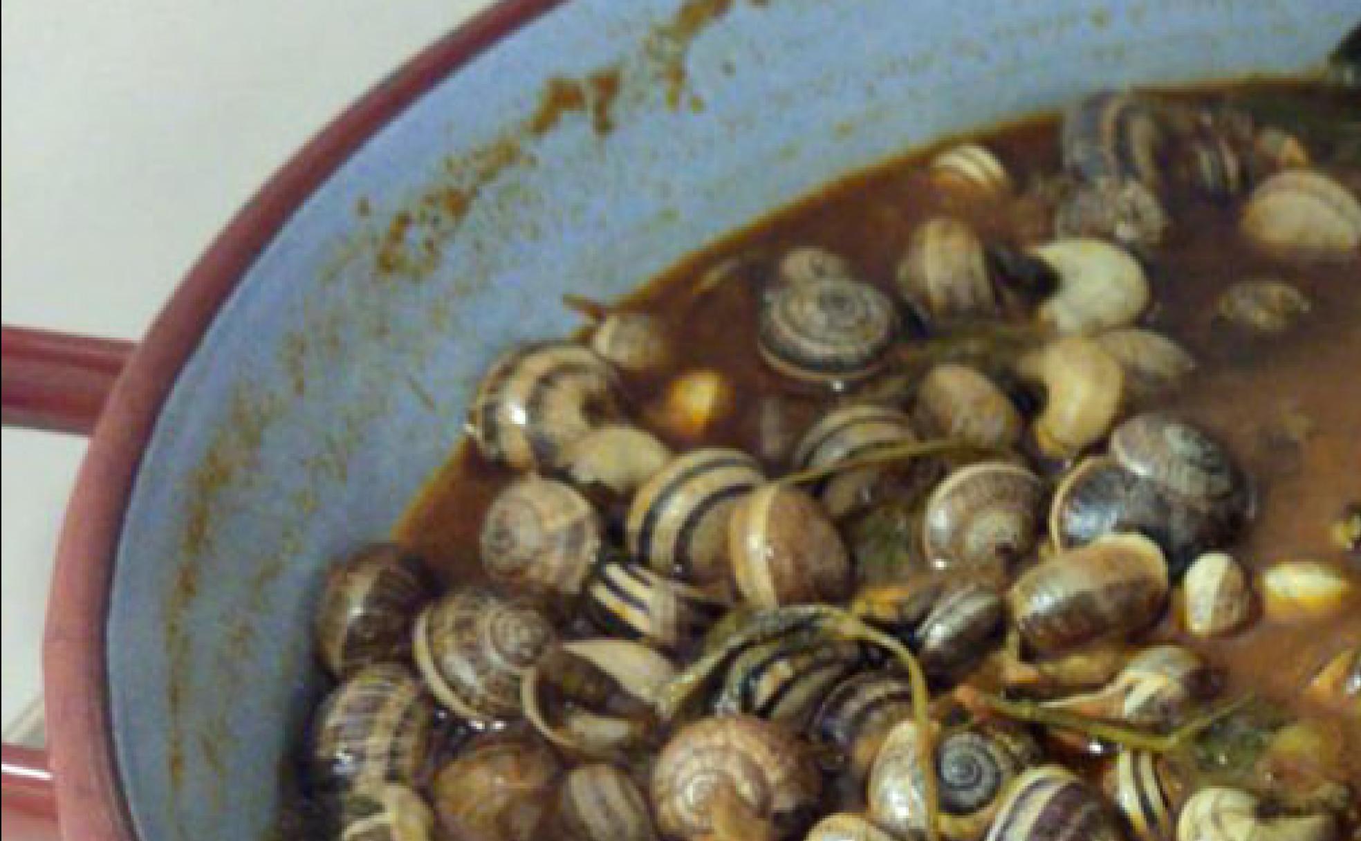 Cabrillas en salsa de tomate y cebolla