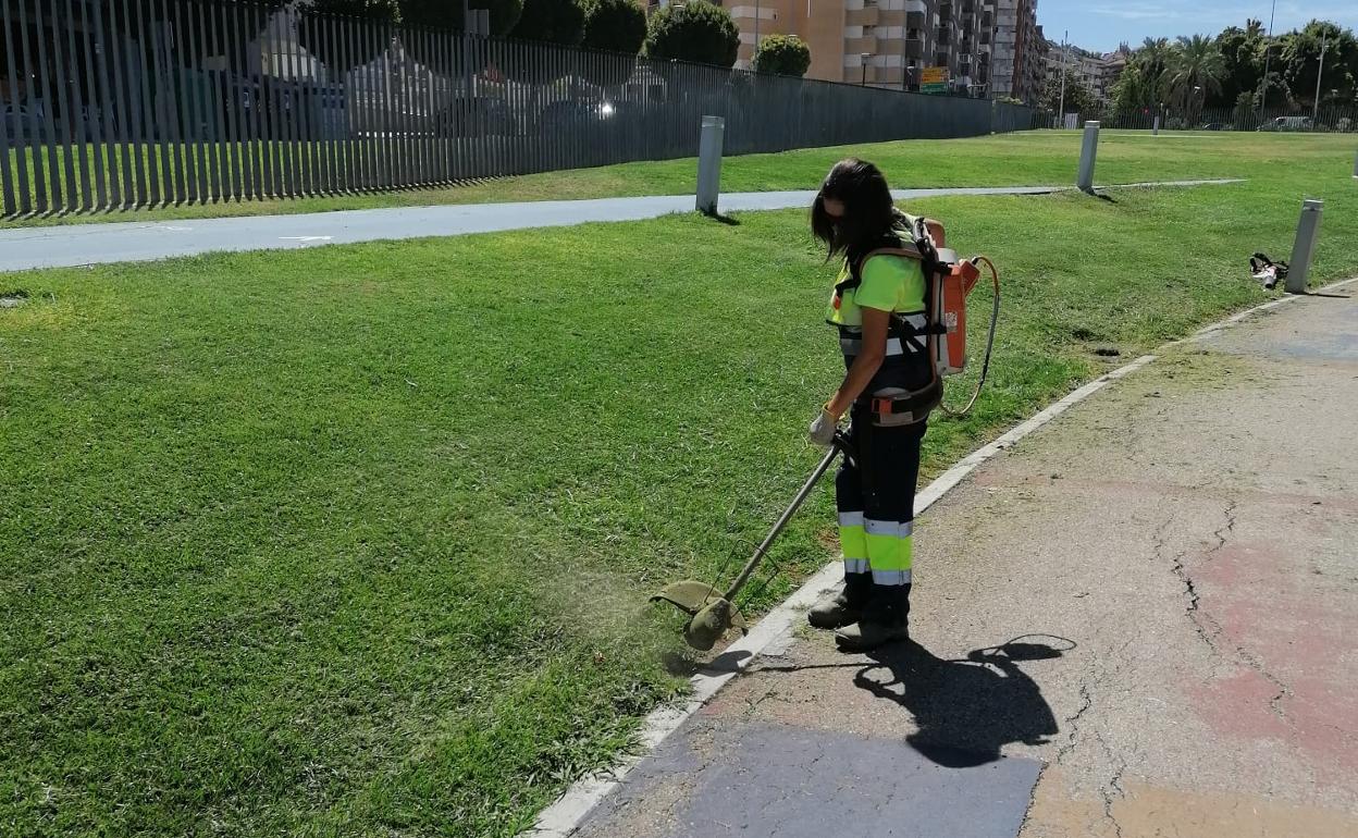 Trabajos en el Parque del Bulevar.