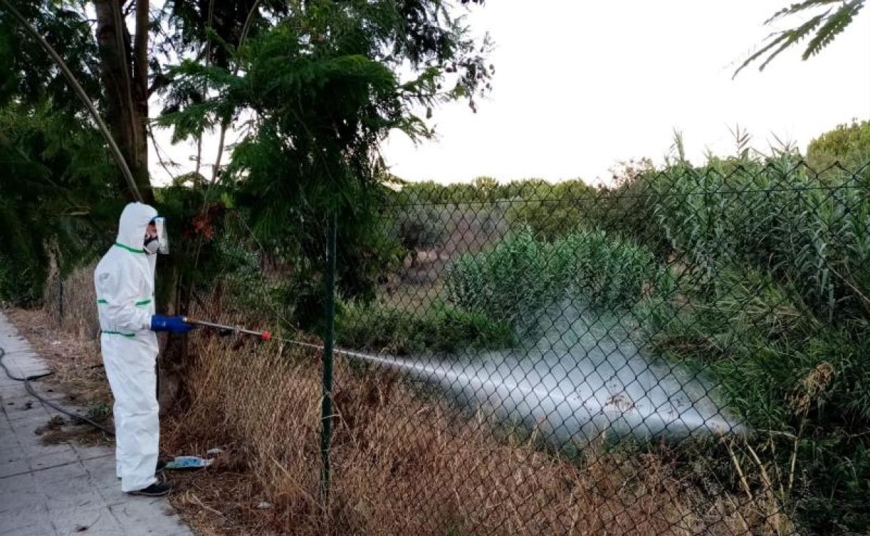 Fotografía facilitada por el Ayuntamiento de Palomares del Río (Sevilla) de un operario fumigando un terreno tras anunciar dicho municipio que iniciaría el protocolo de actuación contra el mosquito del virus del Nilo. 