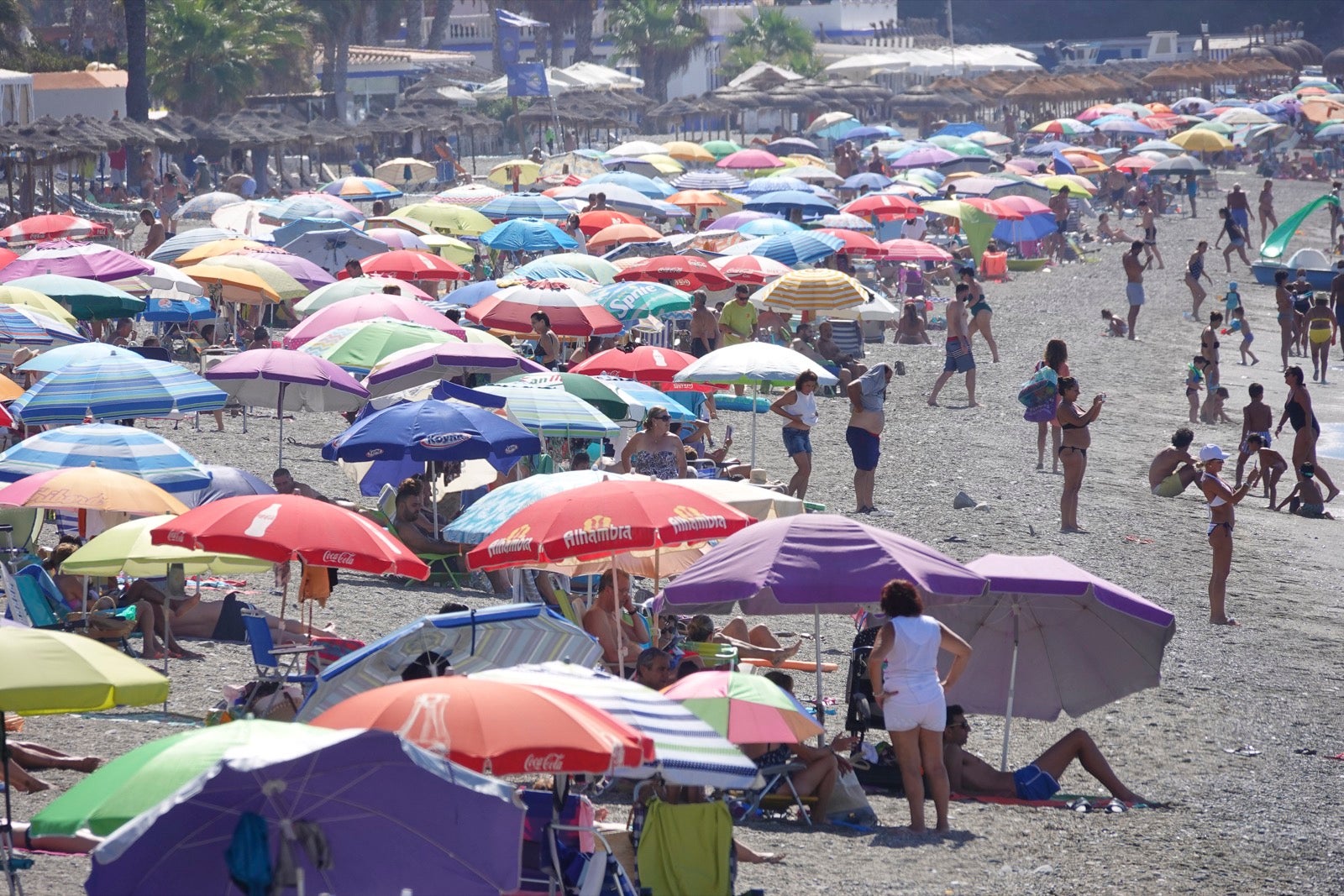 El buen tiempo ha acompañado a los que se han acercado a la Costa Tropical