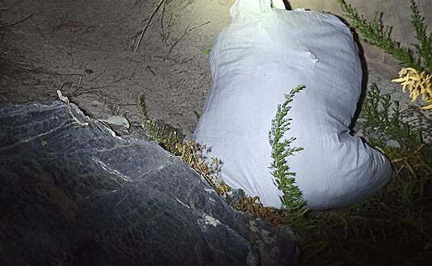 Imagen principal - Detienen a cinco jóvenes cuando intentaban robar en una plantación de cáñamo industrial en Albuñol