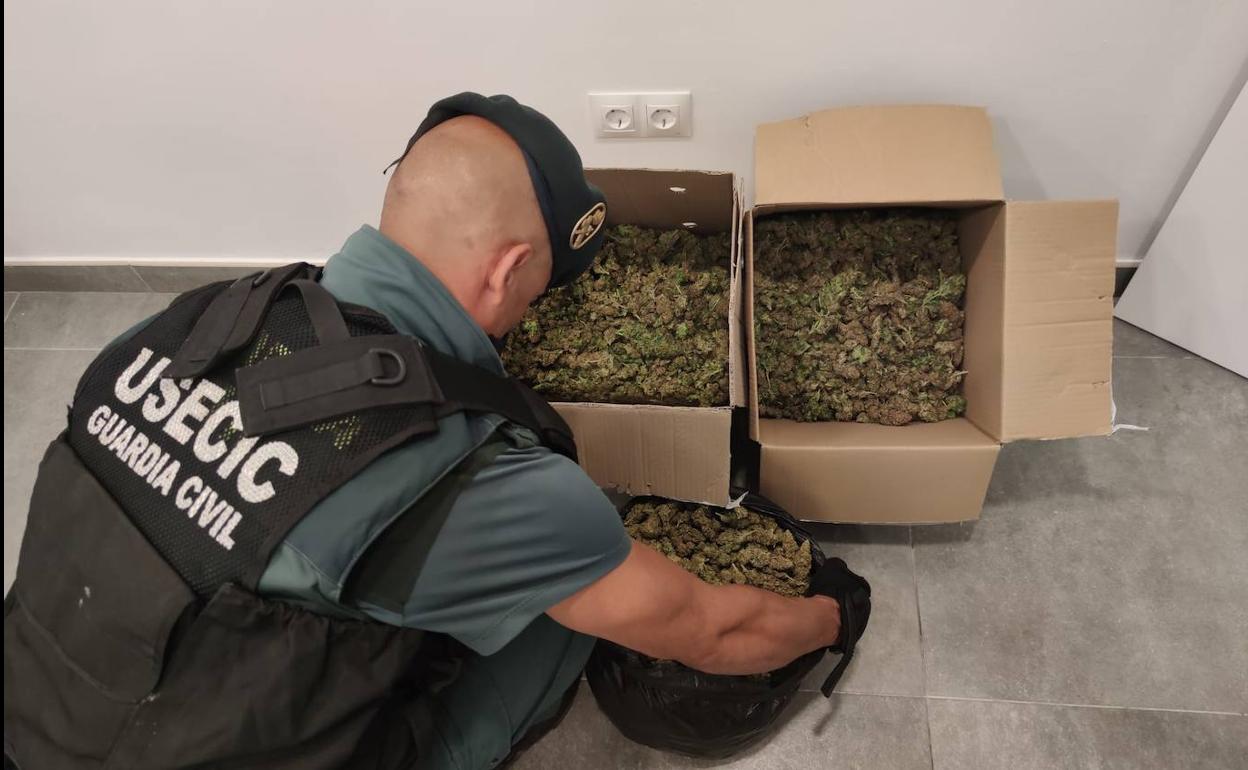 Droga incautada en una de las operaciones
