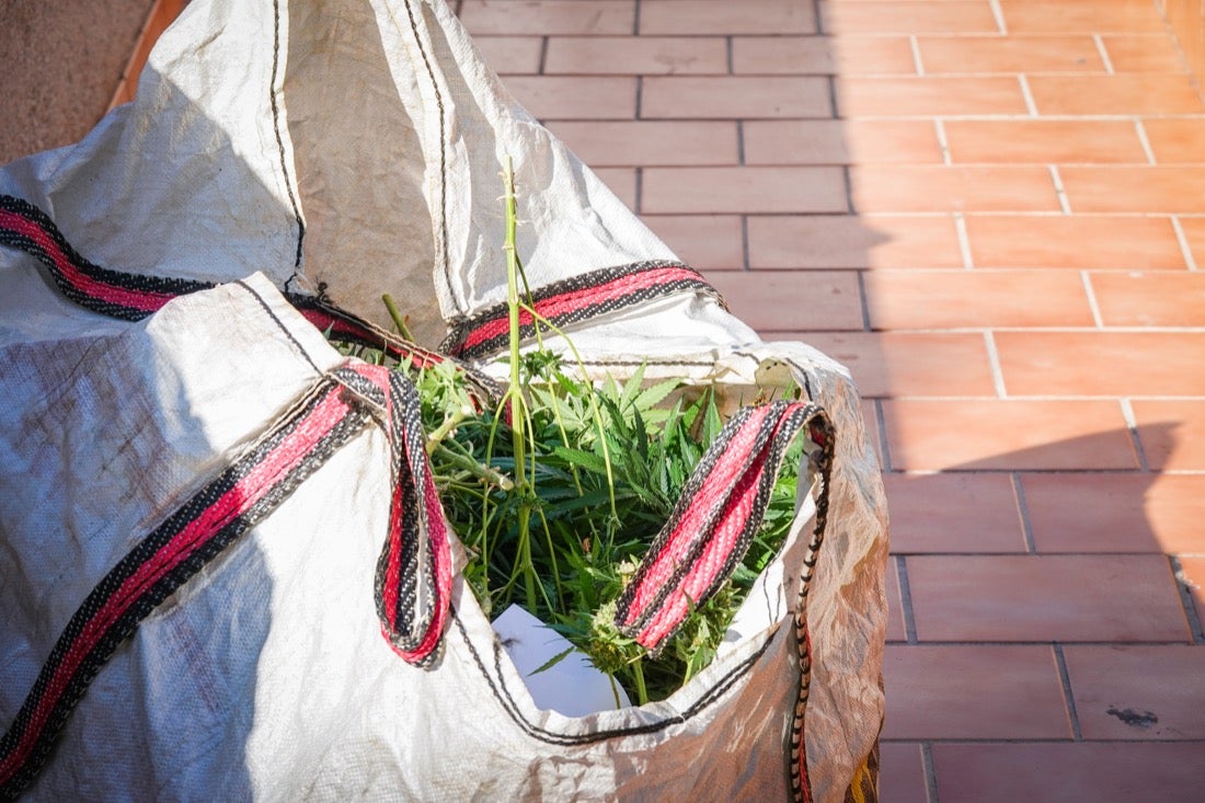 Más de veinte agentes han realizado varios registros en la zona