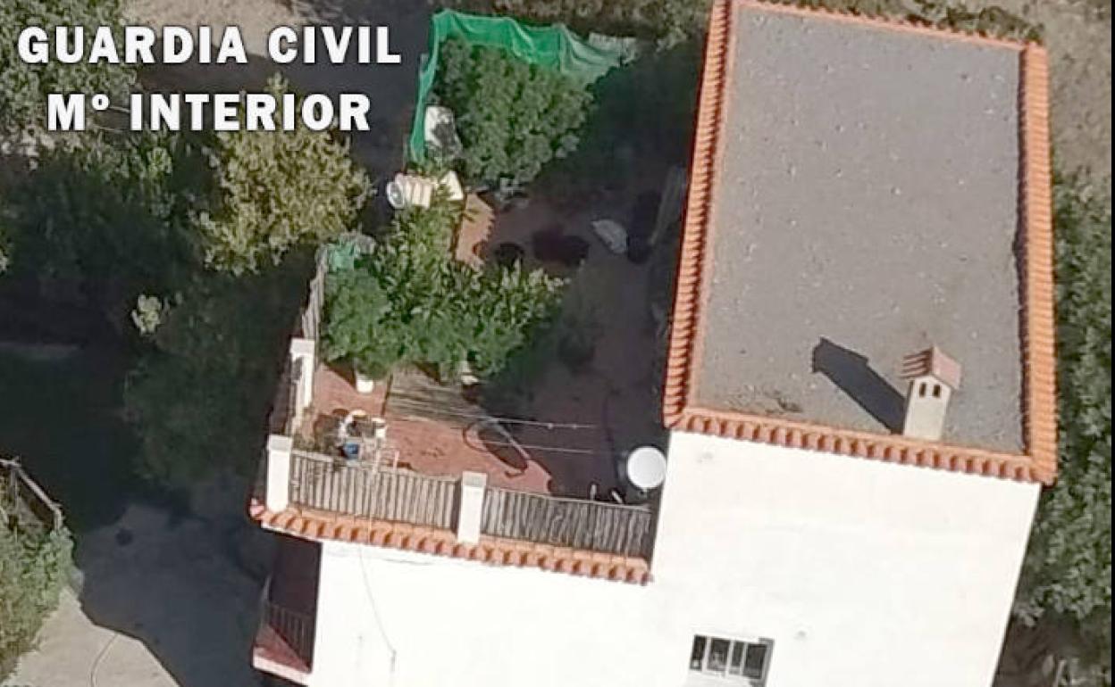 Intervenidas más de 700 plantas de marihuana en una operación en Granada
