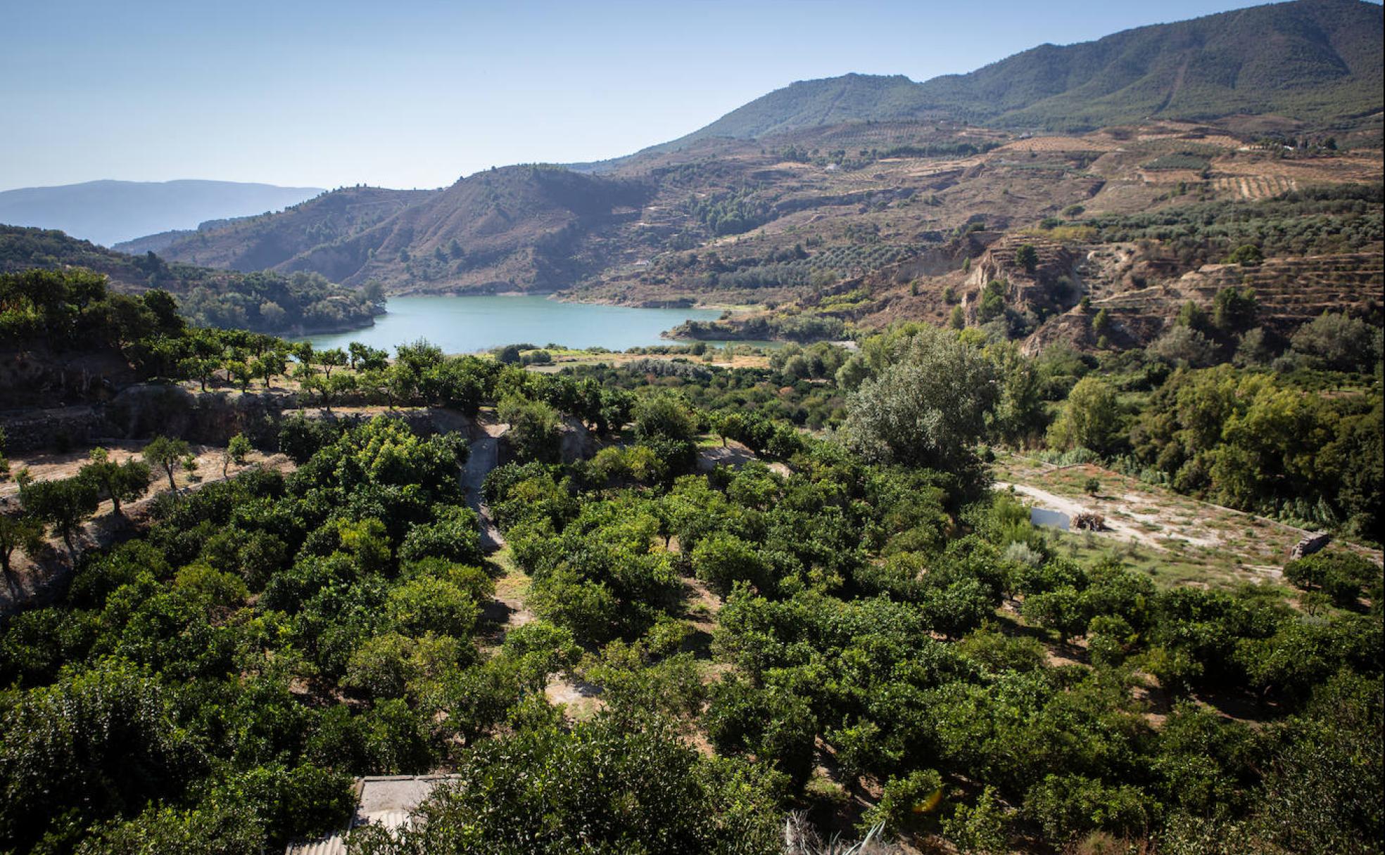 Panorámica del Valle de Lecrín, cerca de Chite, que tanto influyó en la obra de José Guerrero y donde se origina el amor hacia la naturaleza del artista granadino.