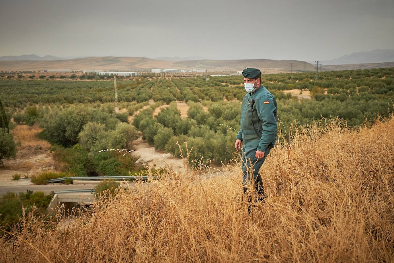 La Guardia Civil está realizando batidas con un helicóptero, patrullas de tierra y cámaras térmicas