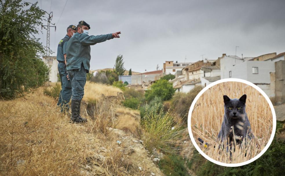 Granada y el mito de la pantera negra