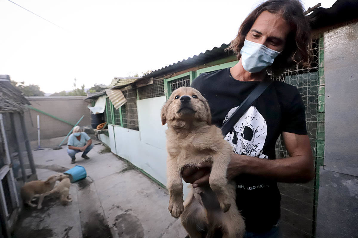 Recuperan mascotas maltratadas rescatadas por el Seprona y ningún amigo de cuatro patas abandona el centro sin una familia