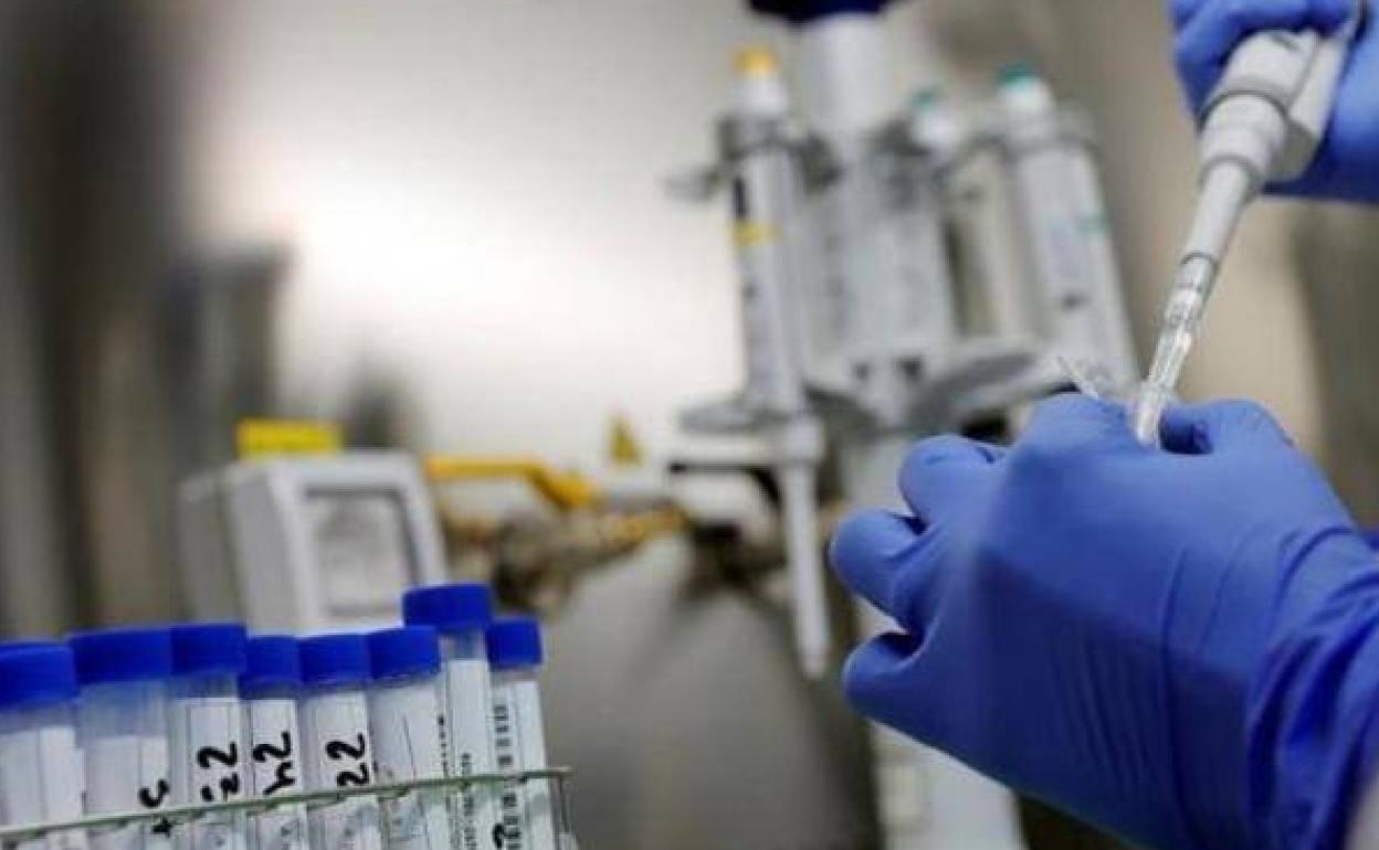 Coronavirus | El director de la OMS pone fecha a la vacuna