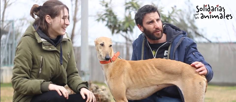 El admirado artista, durante su visita a estos canes en Granada, en 2018. 