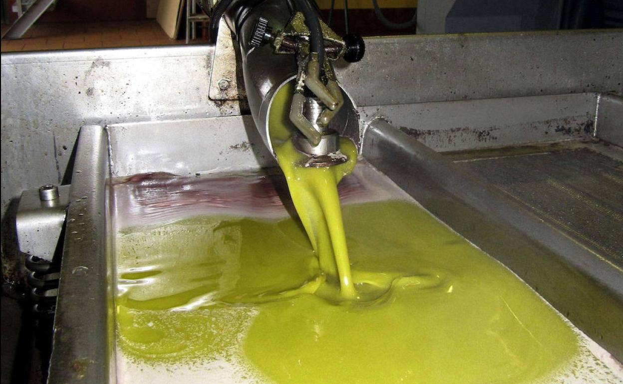 Se cierran ya operaciones a tres euros el kilo de aceite, uno más que hasta ahora, ante la falta de virgen extra