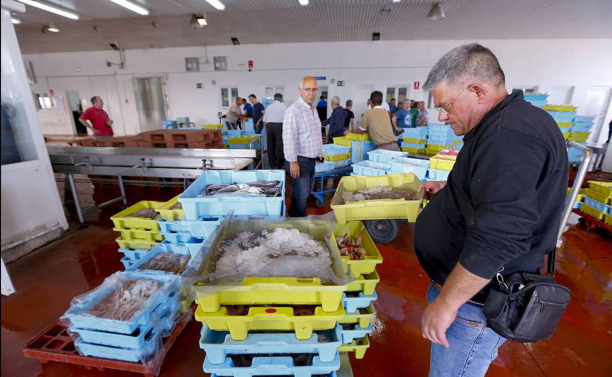 La lonja de pescado de Motril.