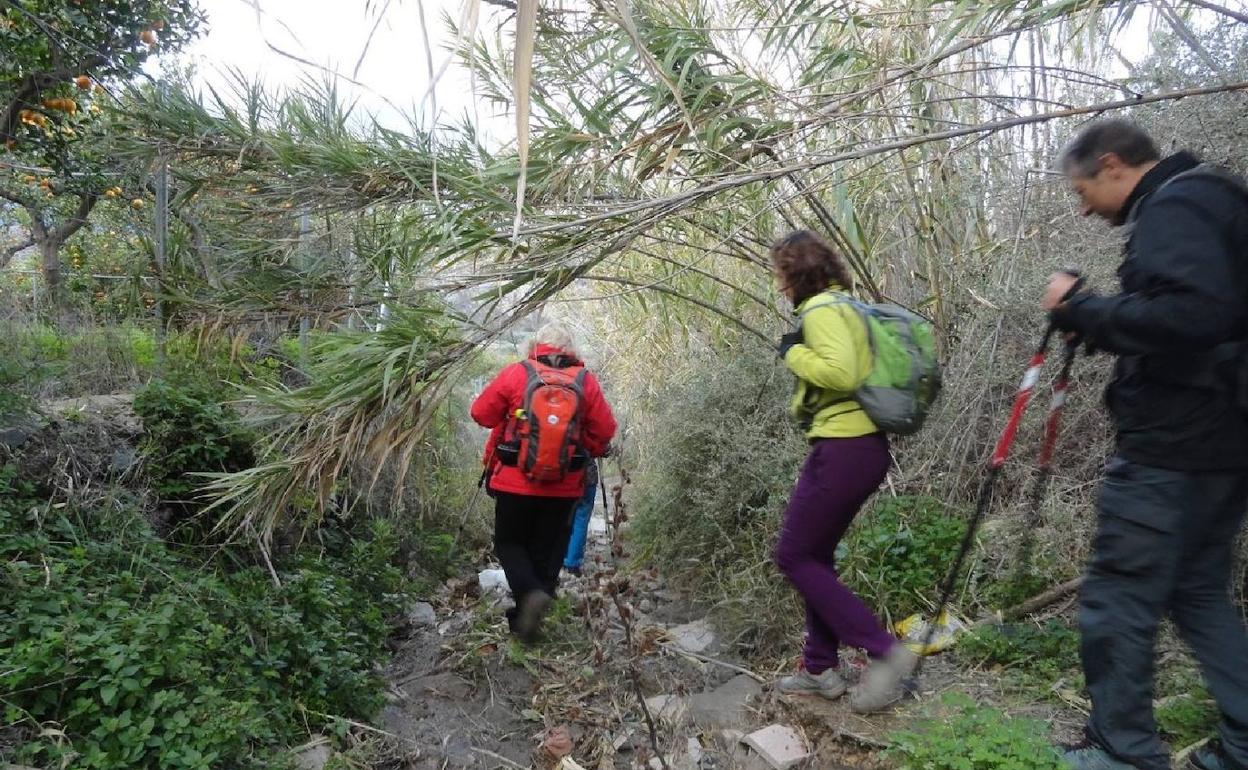 Rincones de Almería | Santa Cruz, paseo entre naranjos