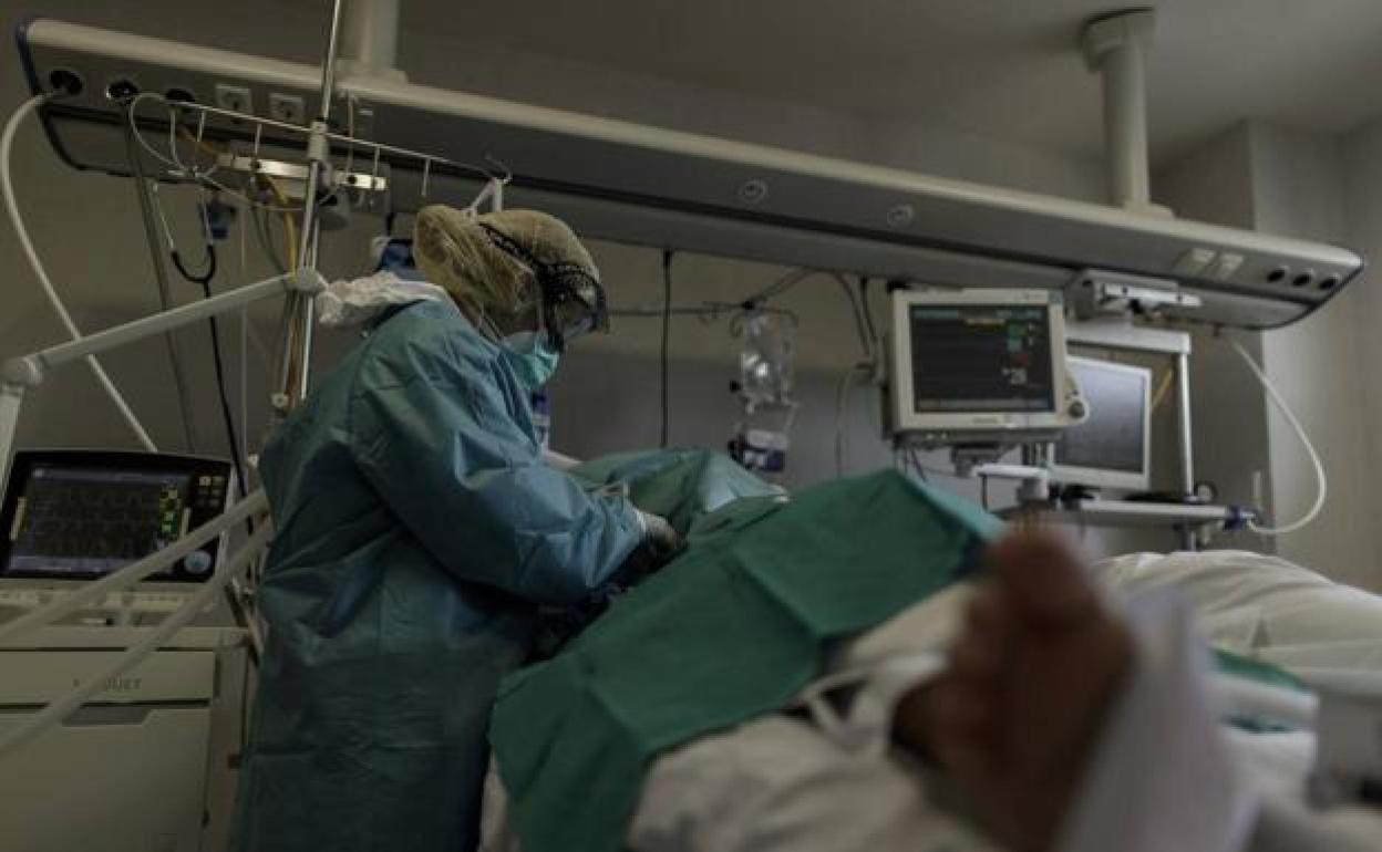 Un sanitario atiende a un paciente con covid.