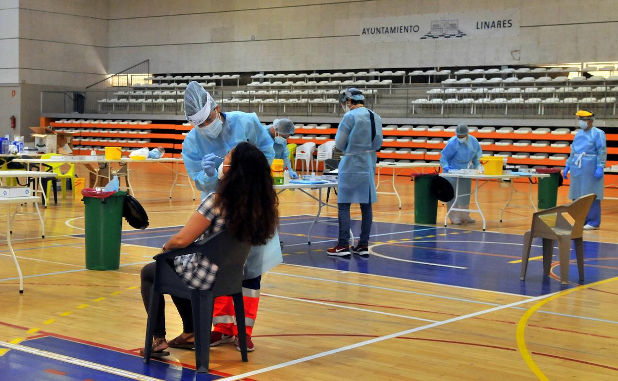 Pruebas PCRdurante el cribado en Linares. 