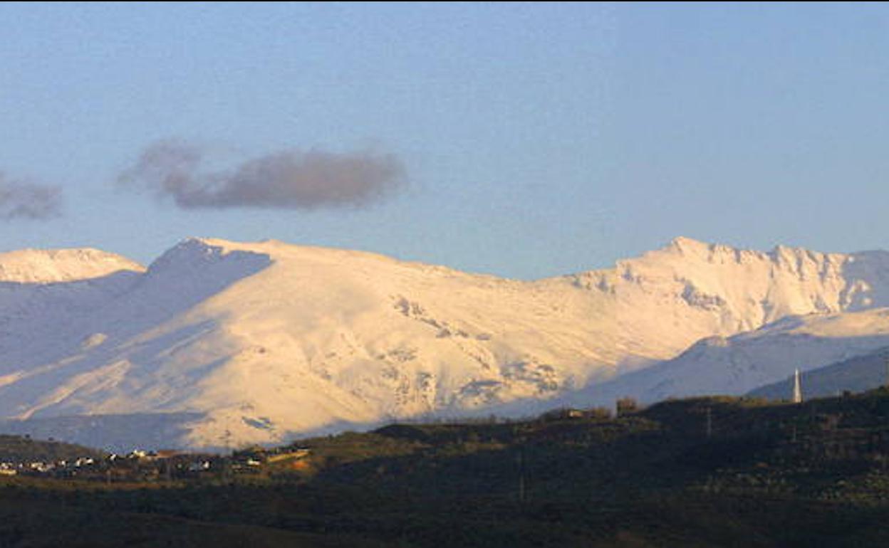 Leyendas de Granada: el mono careto y otros seres mitológicos de Sierra Nevada