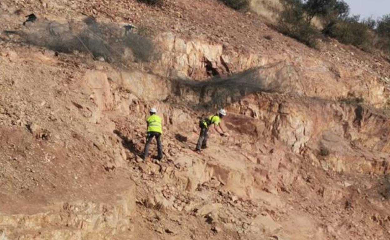 Trabajos para acondicionar la zona.