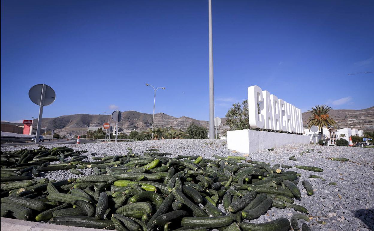 Kilos de pepinos tirados en una rotonda de entrada a Carchuna.