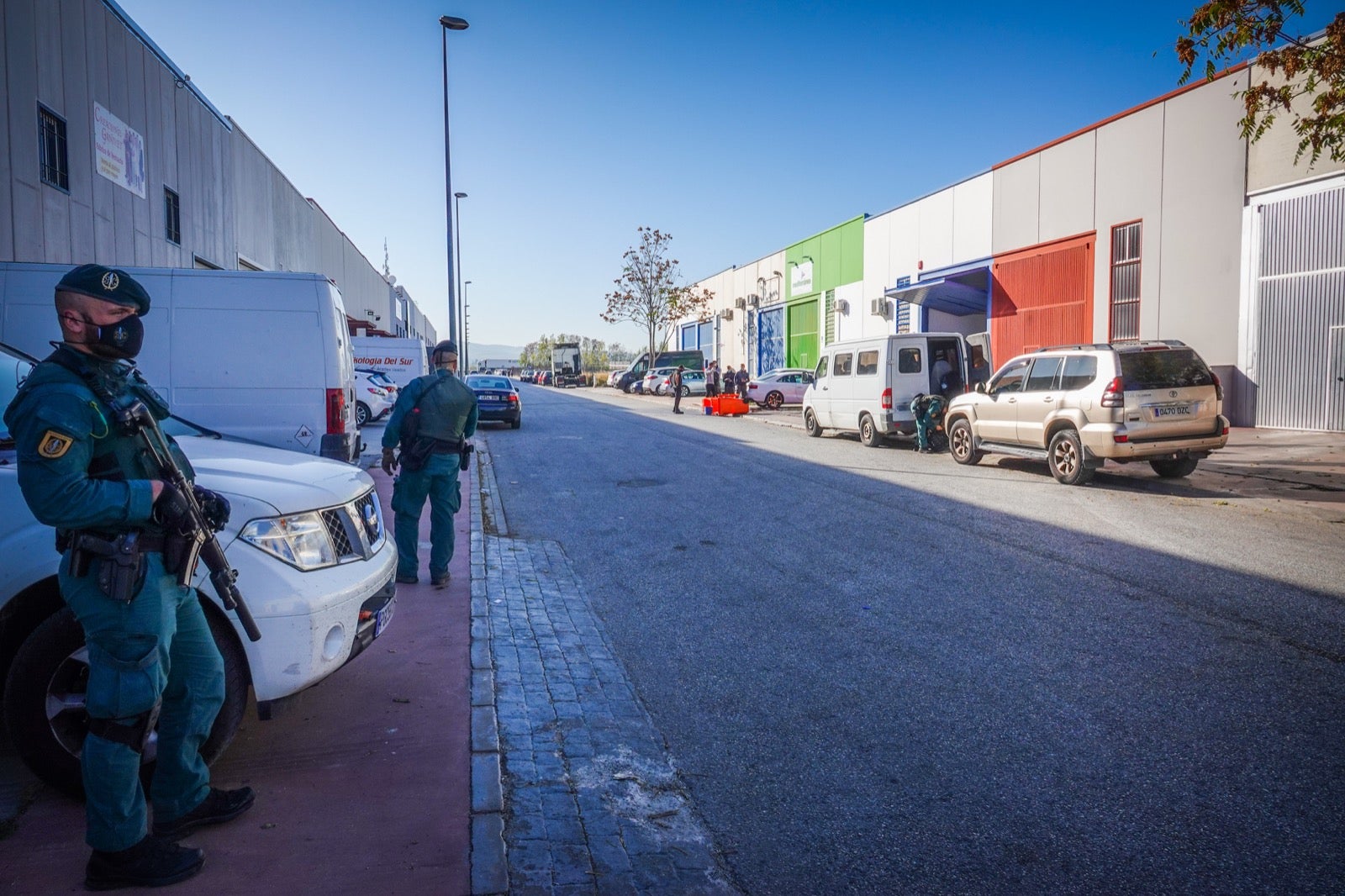 300 guardias civiles, 5.000 plantas, 13 detenidos, armas y coches de lujo