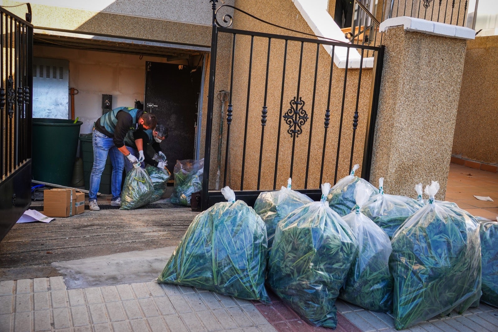 300 guardias civiles, 5.000 plantas, 13 detenidos, armas y coches de lujo