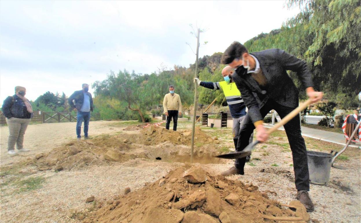 Lanjarón celebra el Día Internacional Contra la Violencia de Género plantando árboles de sombra