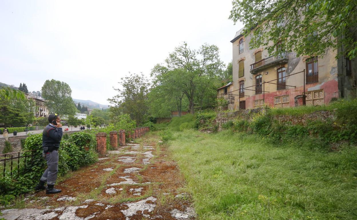 Zona en la que se proyecta el paseo peatonal.
