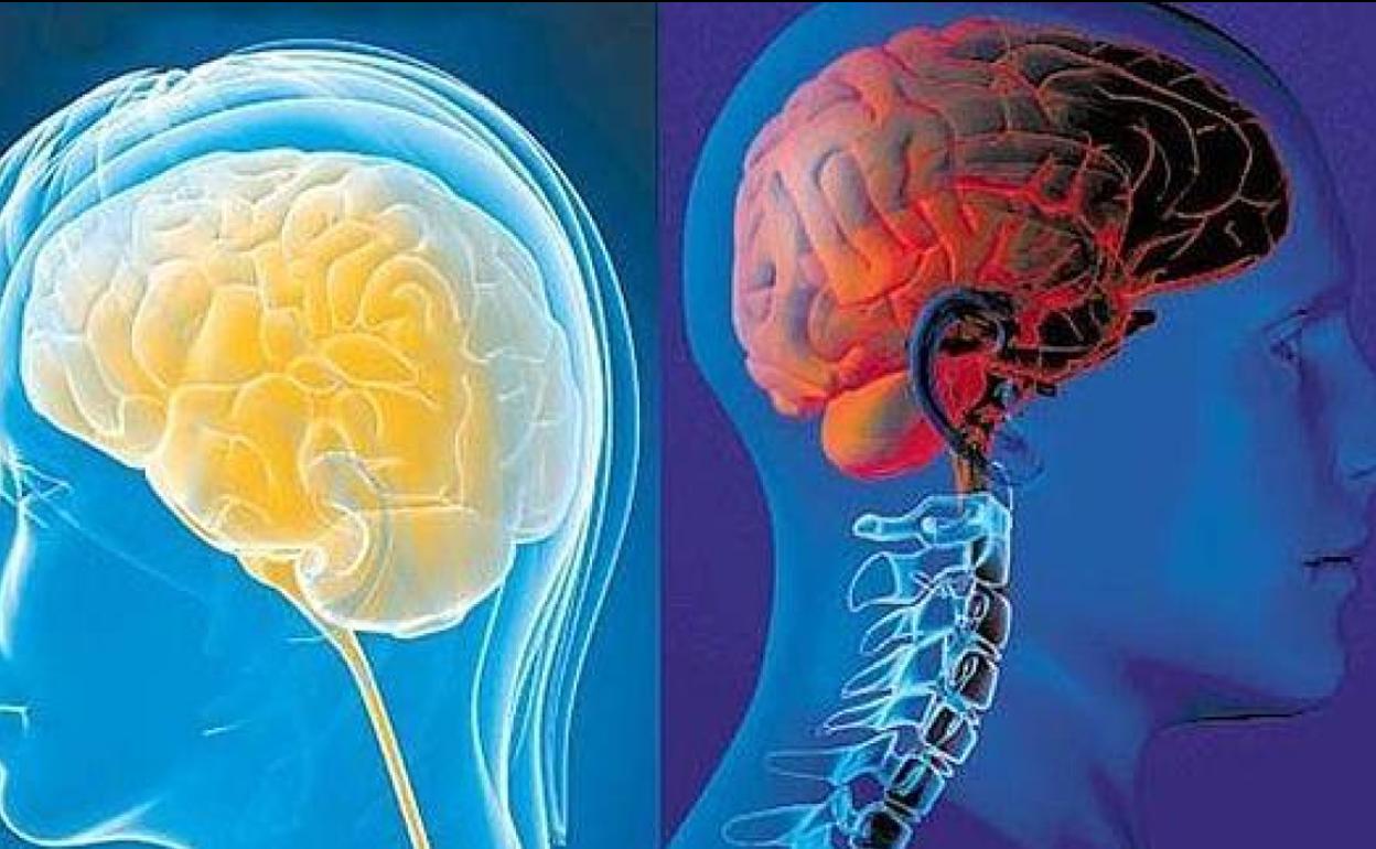 Secuelas de la Covid | Llega al cerebro a través de la nariz y afecta al sistema nervioso