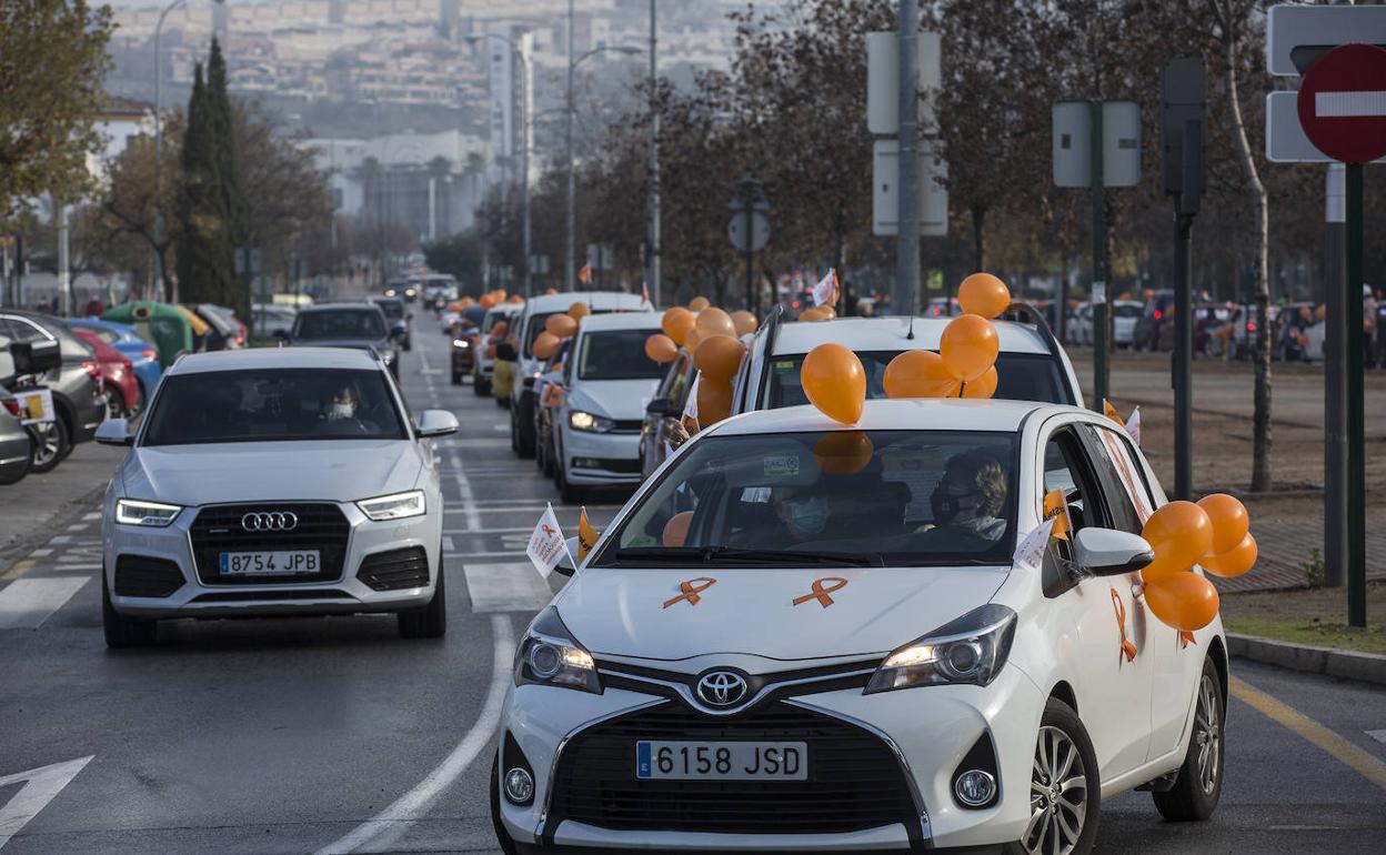 La manifestación ha vuelto a ser con vehículos y se ha desarrollado en el Zaidín.