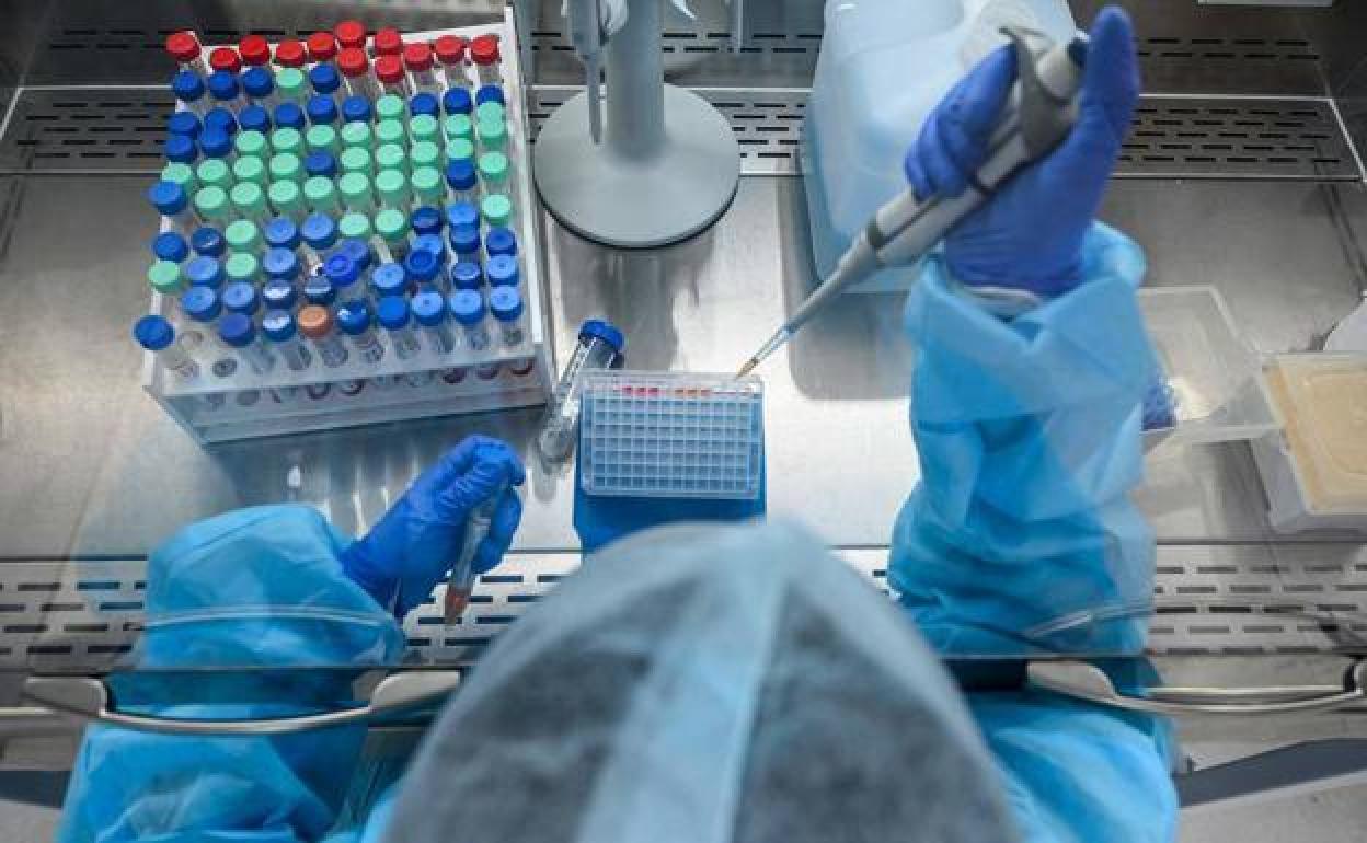 Muestra de prueba PCR en laboratorio. 