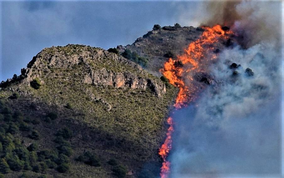 Fotos: Un incendio forestal en Órgiva obliga a desalojar una residencia de ancianos