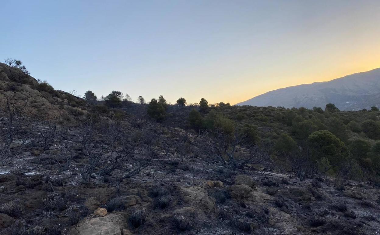 Estado en el que ha quedado el terreno tras el paso de las llamas.