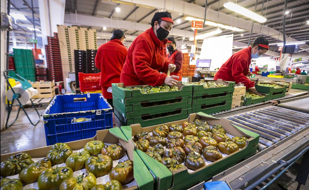 El campo granadino, aliviado con un Brexit sin aranceles que evitará una «catástrofe»