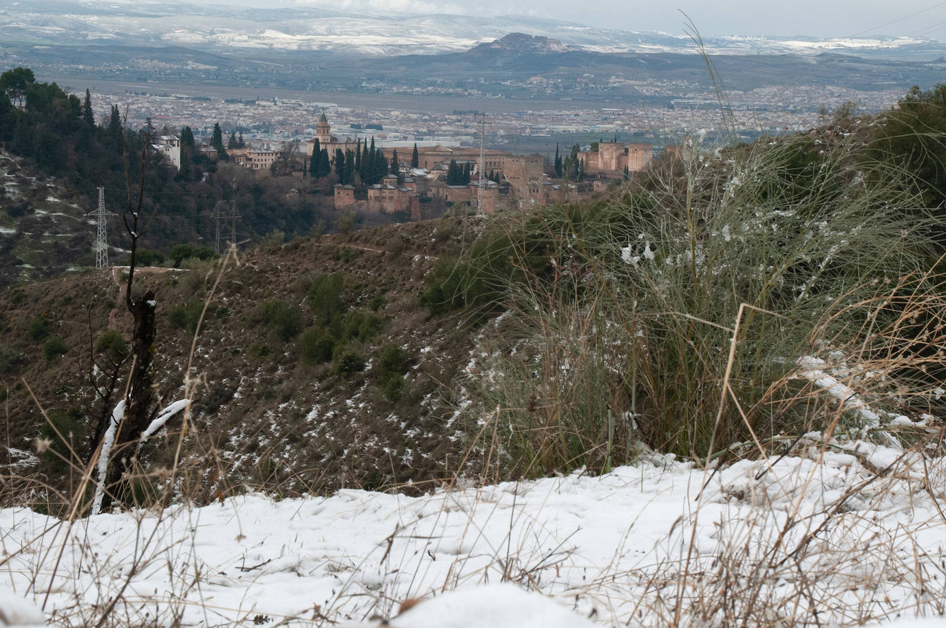 La capital y su área Metropolitana han amenecido con zonas de blanco este domingo