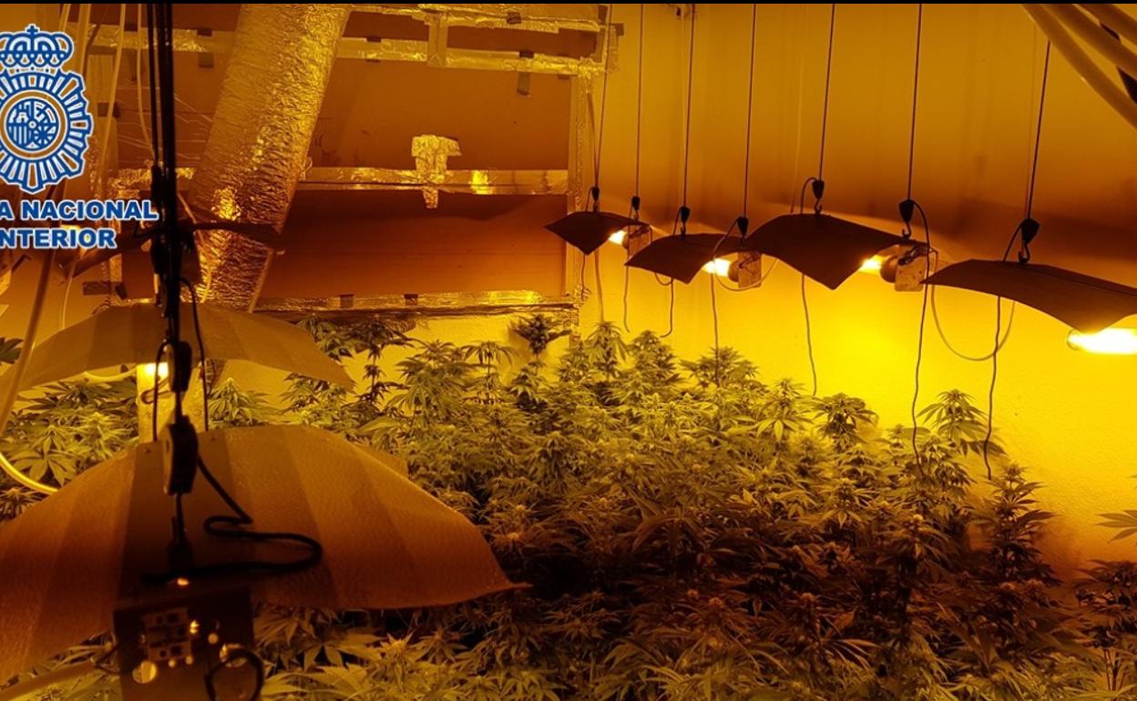 Descubren dos sofisticados invernaderos de marihuana en un piso de Granada y detienen a dos individuos. 