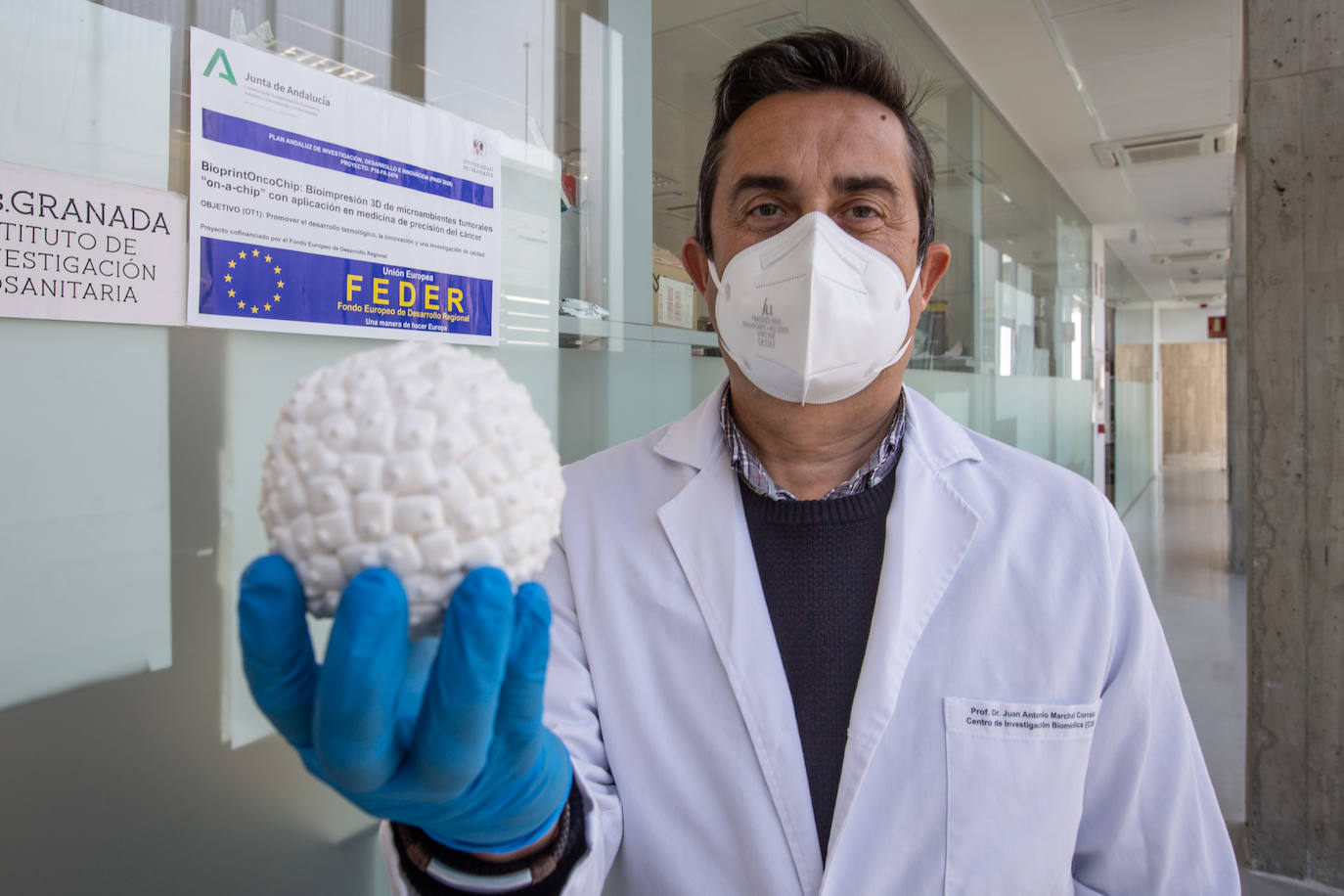 Juan Antonio Marchal, con un tumor impreso en 3D, en los pasillos del laboratorio del PTS.