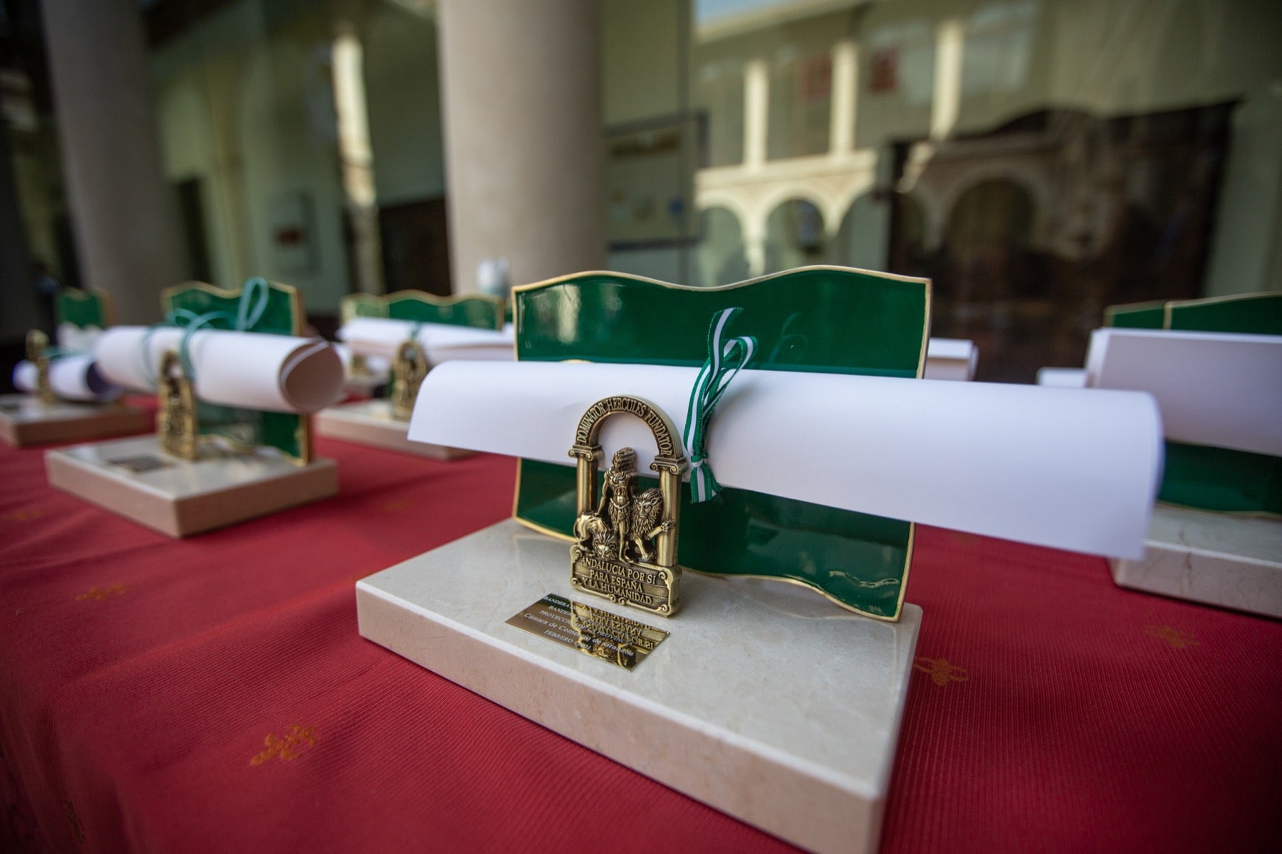 Un repaso a todos los distinguidos en el 2021 en la provincia