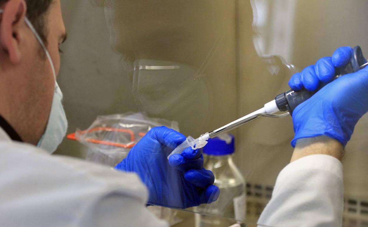 Un miembro de la policía científica, trabajando en el nuevo laboratorio de Biologia y ADN de la Jefatura Superior de Andalucía OrientaI, en Granada, donde se analizan muestras como las de este caso.