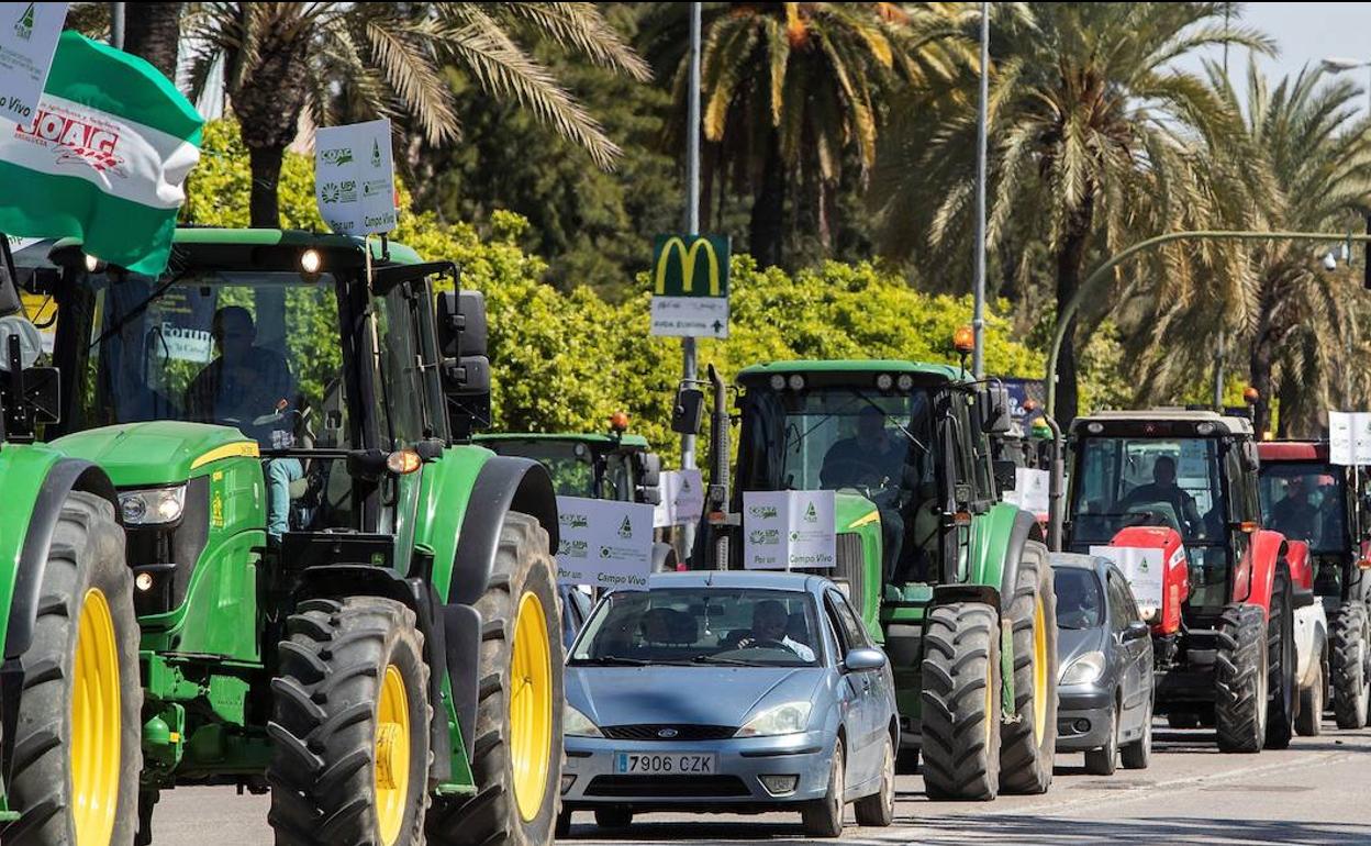 Una caravana de tractores recorrió este viernes las calles de Jerez de la Frontera (Cádiz). 