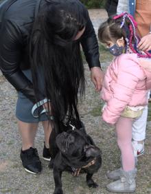 Imagen secundaria 2 - Perro desaparecido | Sorpresa con final feliz para la familia de Vini, el bulldog francés desaparecido que movilizó a Ogíjares