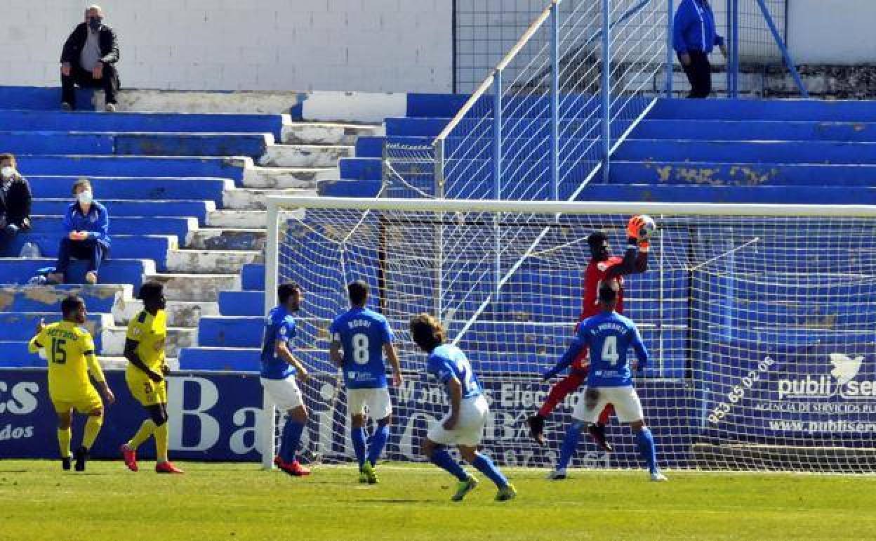 La Federación Española suspende el próximo partido del Linares tras los positivos en covid de la plantilla