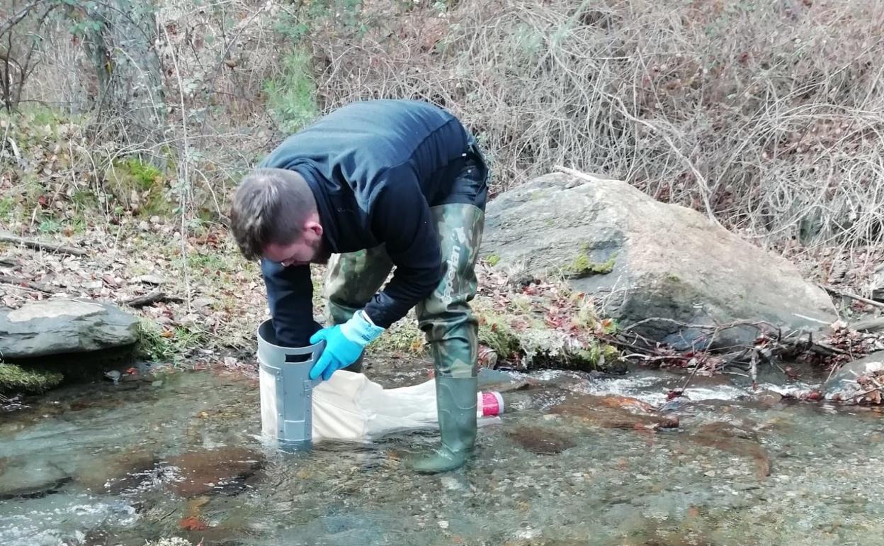 Investigación en Almería | Universidad de Almería | La acción del hombre sobre los bosques tropicales afecta a los ecosistemas fluviales